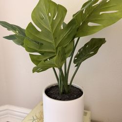 Small Potted Fake Plant (Monstera)