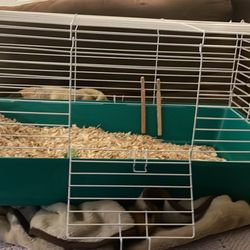 Small Animal Cage