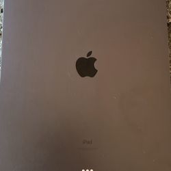 iPad Pro 5th Gen M112.9 Inch 256gb  WIFI Plus Cellular 