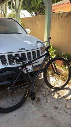 Throne 29er coraline