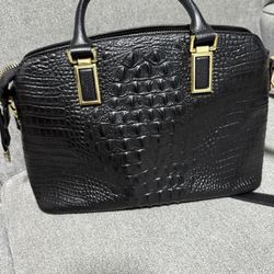 Qiwang Black Croc Purse