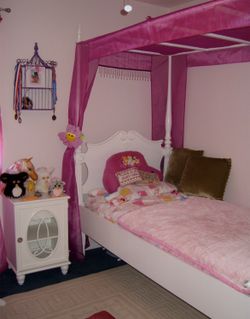 Girls Princess Fantasy Canopy Bed Twin size