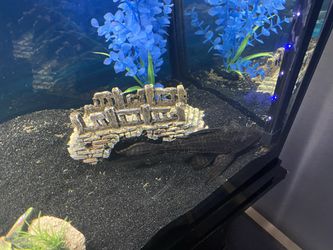 55 Gallon Fish Tank With Stand  Thumbnail