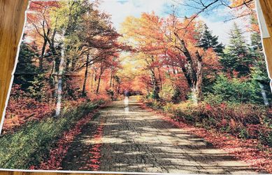 Fall Backdrop 5 Ft By 7 Ft