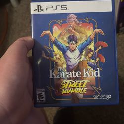 The Karate Kid Ps5