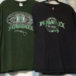 Clean Used University of Hawaii , 100% Cotton T-Shirts,   Size:  Large