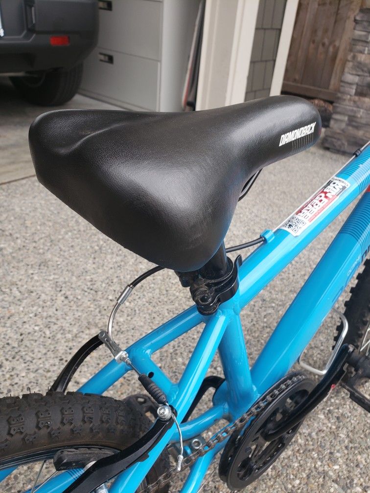 Bike 20 Inches