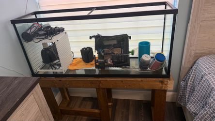 55 gallon fish tank