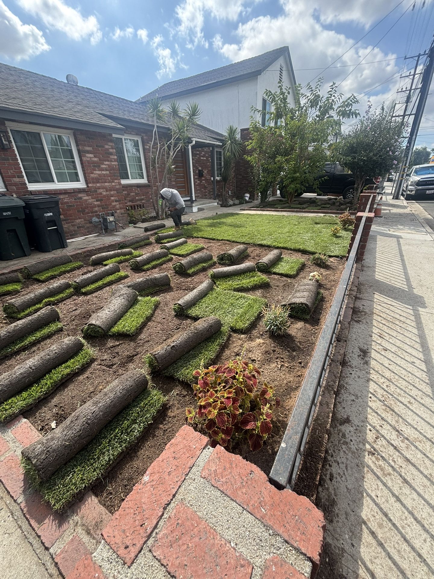 IRRIGATIONnn SPRINKLERSss TURFFfff. GRASSsss