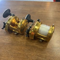 Penn International Torque 300 Fishing Reels