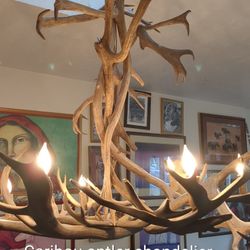 Caribou Antler Chandelier