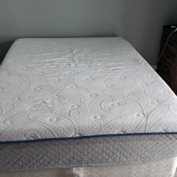 Queen Sized Costco Mattress, Box Spring, Bed Frame,And Headboard 
