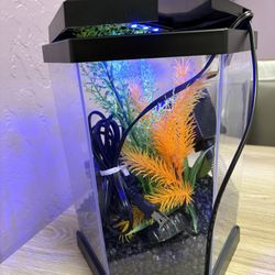 Small Fish Tank