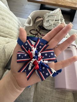 4th of July Pet Costume