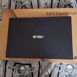 Asus Expertbook 2025