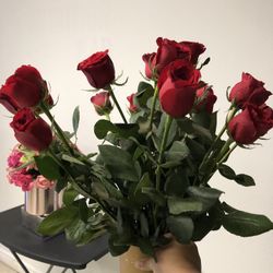 Roses 🌹 