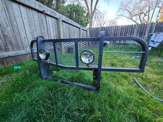 Brush Guard
