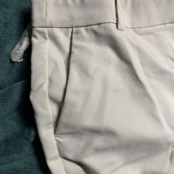 Dress Pant