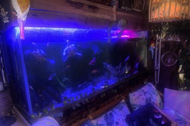 150 Gallon Fish Tank With Led Pumps And Heater