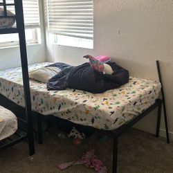 Twin Bed 