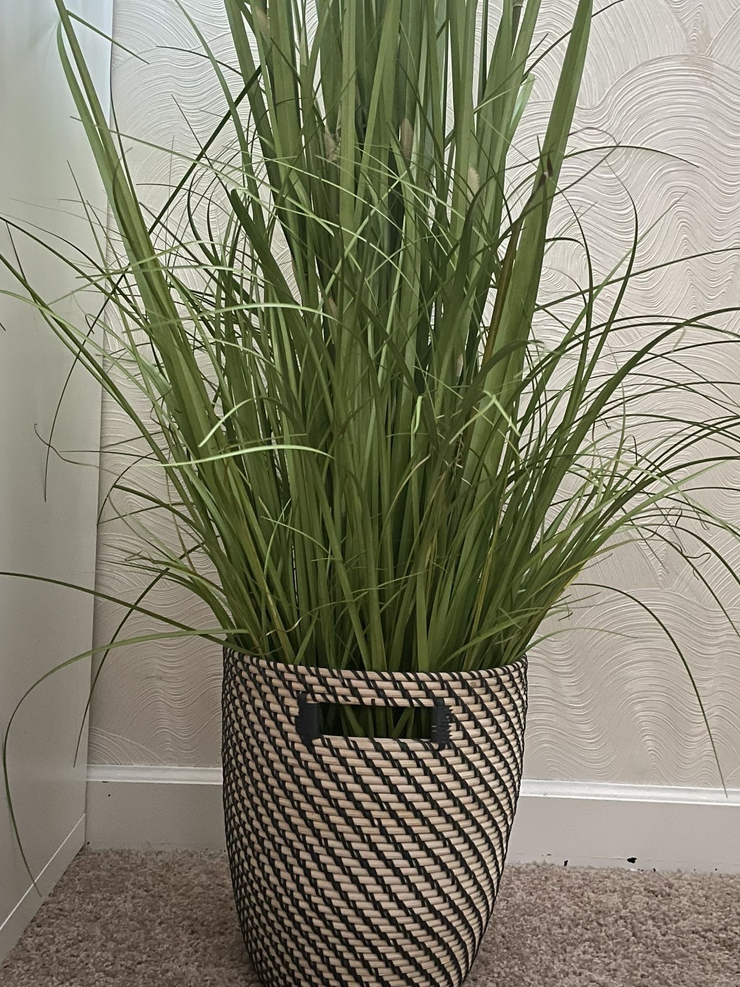 6 ft Tall Faux Grass Plant With Planter/Basket