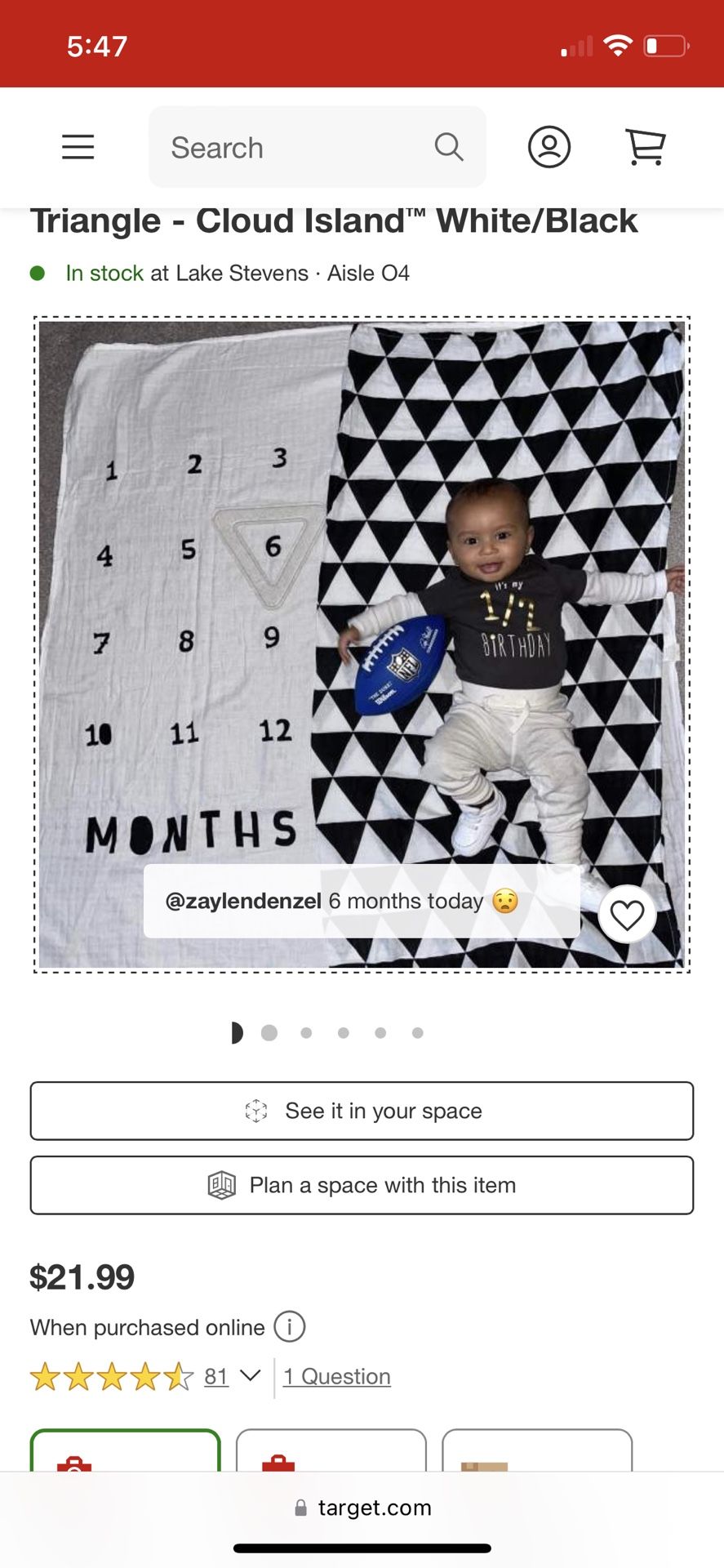 Monthly Milestone Baby Photo Mat/ Blankets (2 Blankets)