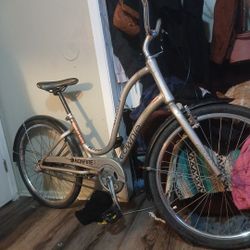 Electra Townie Bicycle 