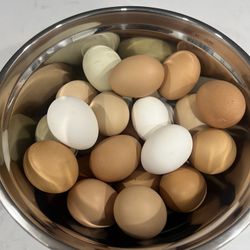 Fresh Eggs