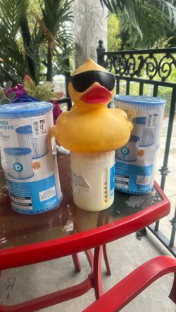 Swimming Pool Filter And Duck