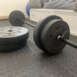 Barbell With 100 Lb Plates