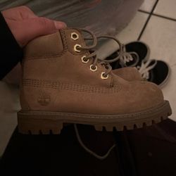 Timberlands 6.5 Toddler 