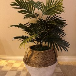Faux Artificial Palm Plant (31 Inches Tall)