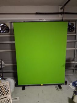 El gato green screen