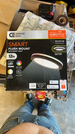 Smart Flush Mount With Night Light 12 Inch