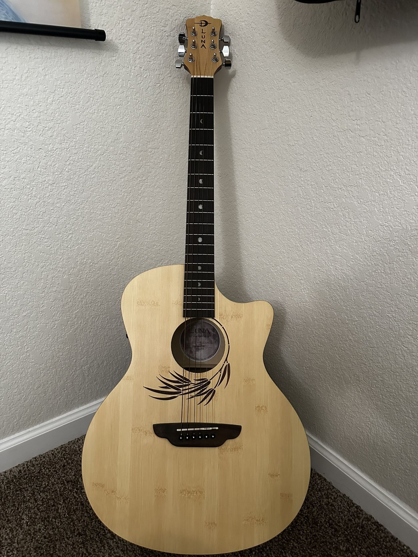 Acoustic/ Electric guitar