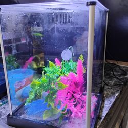 Fluval Spec Aquarium Kit, 2.6-gal