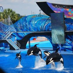 Tickets- Theme Parks