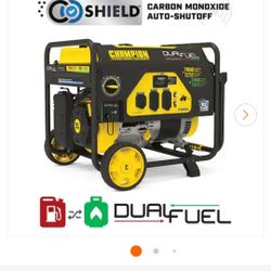 Champion Electric Generator