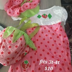 Strawberry Shortcake 3t/4t Halloween Costume