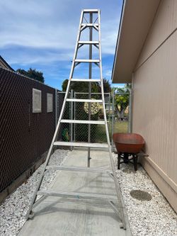 Orchard ladder