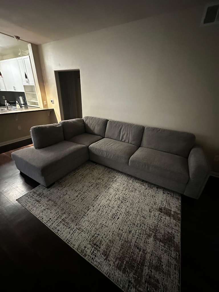 Grey Sectional Couch