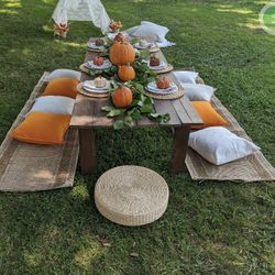Cute Picnic Table