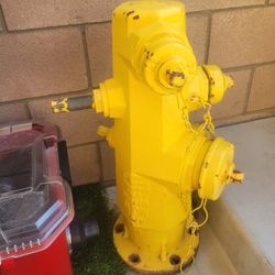 Authentic Fire Hydrant