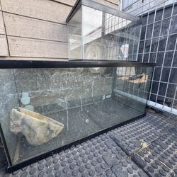 Fish tank 