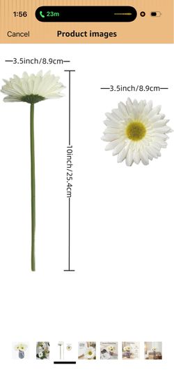 Faux African Daisies 60 pcs - Artificial Silk Gerbera Daisies for Home, Office, Vases & Craft Projects60  White)