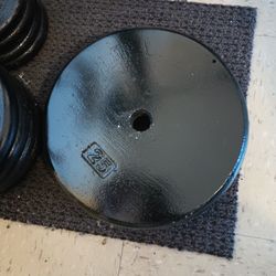 (2)25lb Weights 