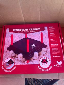 Heating plate for chicks