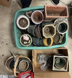 Assorted Orchid And Bonsai Pots
