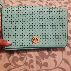 Cute Teal Green Party Purse