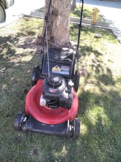 TROY BILT  Gas Push Lawn Mower